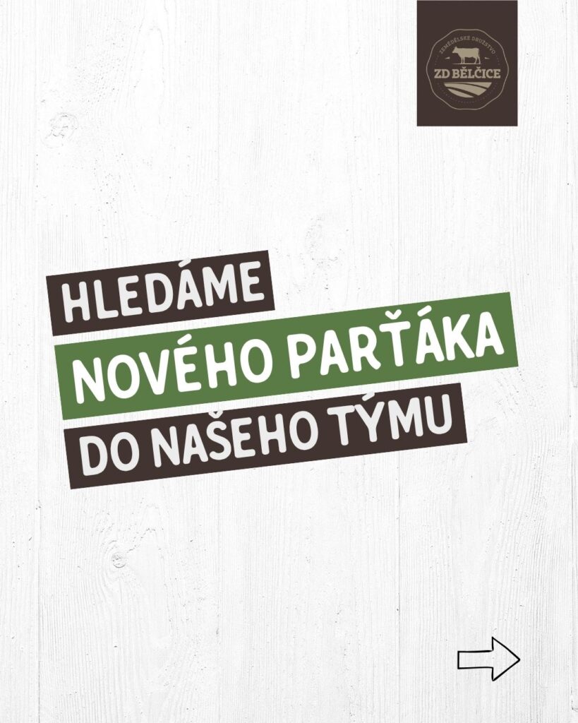 Banner - Hledáme nového parťáka